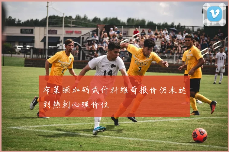 布莱顿加码武什科维奇报价仍未达到热刺心理价位