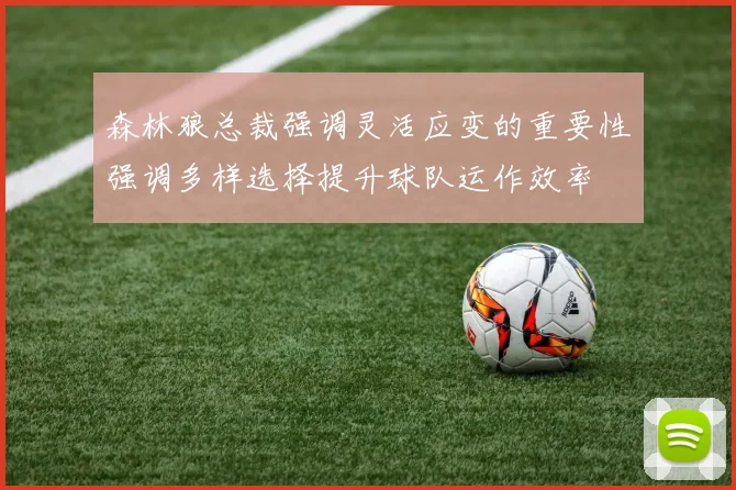 森林狼总裁强调灵活应变的重要性强调多样选择提升球队运作效率
