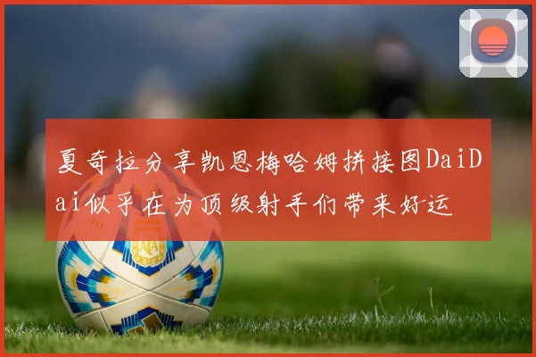 夏奇拉分享凯恩梅哈姆拼接图DaiDai似乎在为顶级射手们带来好运